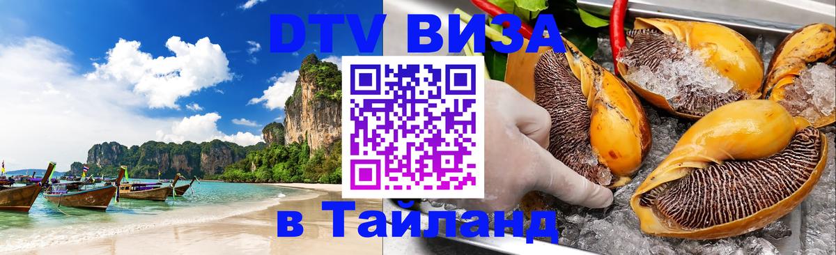 Сколько стоит DTV виза — актуальные цены, оформление даже без документов - 08.12.2025 